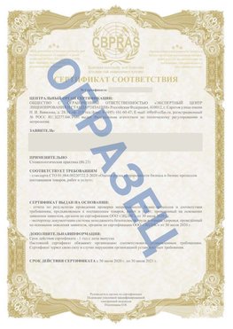 Образец Сертификат СТО 01.064.00220722.2-2020 Павловский Посад Сертификат СТО 01.064.00220722.2-2020 